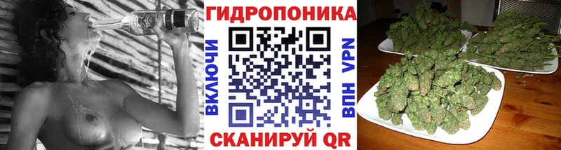Бошки Шишки OG Kush  Купить закладки  Иннополис 